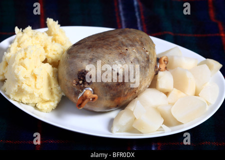 Eine Schüssel mit einem ganzen Haggis, gewürfelte Rüben und Kartoffelpüree. Stockfoto