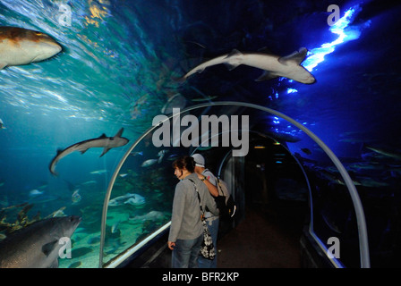 Sea Life und Aquadom im CityQuartier DomAquarée in Berlin-Mitte, Unter Den Linden, Berlin, Deutschland, Europa. Stockfoto