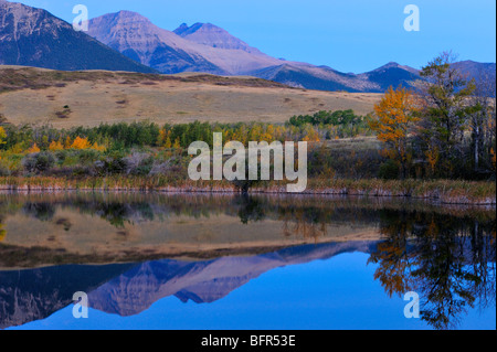 Morgendämmerung Reflexionen in kleine Ausläufer Teich, Waterton Lakes National Park, Alberta, Kanada Stockfoto