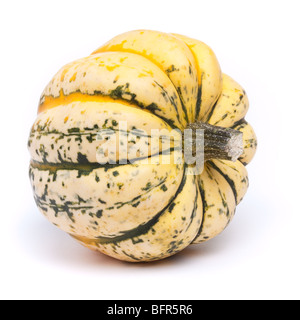 Jazzige Harlequin Squash auf weißen Hintergrund isoliert. Stockfoto