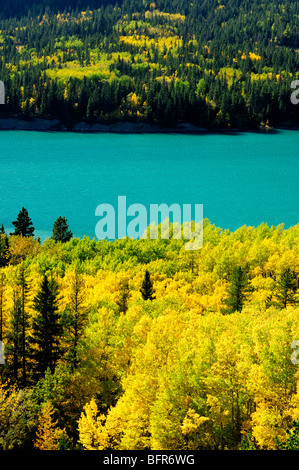 Aspen Wald und Stausee im Herbst, Kananaskis Country, Alberta, Kanada Stockfoto