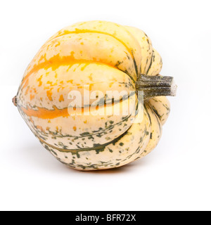 Jazzige Harlequin Squash auf weißen Hintergrund isoliert. Stockfoto