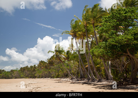 Mission Beach, in der Nähe von Cairns, Queensland, Australien, Stockfoto