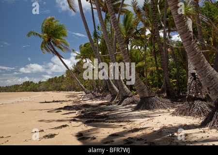 Mission Beach, in der Nähe von Cairns, Queensland, Australien, Stockfoto