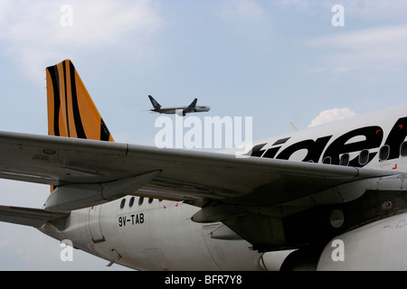 Tiger Airways Livree Logo Flugzeug Singapur LCCT Stockfoto