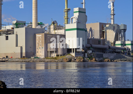 Irving Zellstoff- und Papierfabrik mit Rückwärtsfahren fällt durch fließende am Saint John River, St. John River, New brunswick Stockfoto