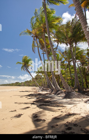 Mission Beach, in der Nähe von Cairns, Queensland, Australien, Stockfoto