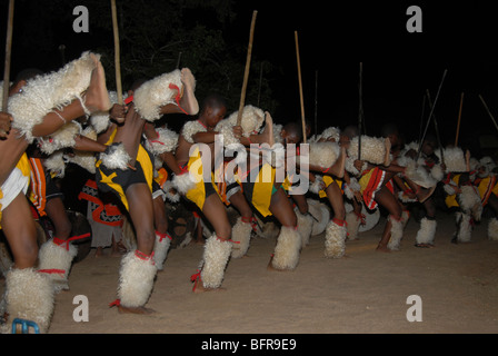 Swazi Tänzerinnen in der Nacht Stockfoto