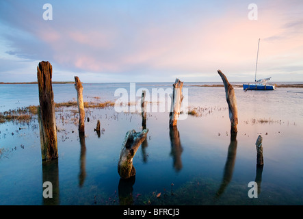 Alte hölzerne Beiträge bei Flut an Dornweiler an der Nordküste Norfolk an der ersten Ampel Stockfoto