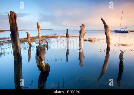 Alte hölzerne Beiträge bei Flut an Dornweiler an der Nordküste Norfolk an der ersten Ampel Stockfoto