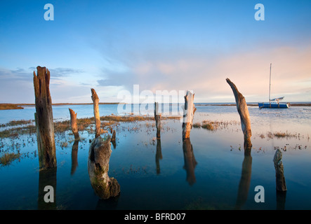 Alte hölzerne Beiträge bei Flut an Dornweiler an der Nordküste Norfolk an der ersten Ampel Stockfoto