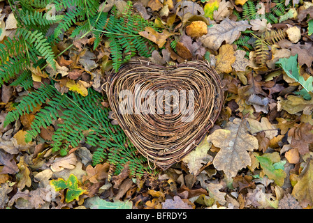 Ich liebe Naturherz mit Herbstblättern Stockfoto