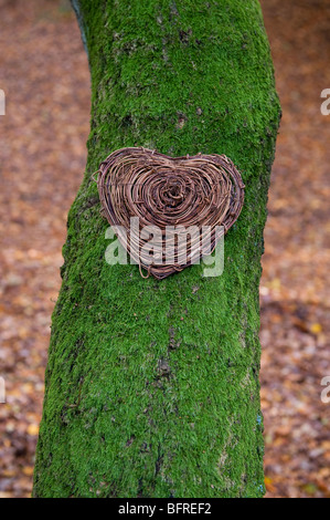 Ich liebe Natur Herz Stockfoto