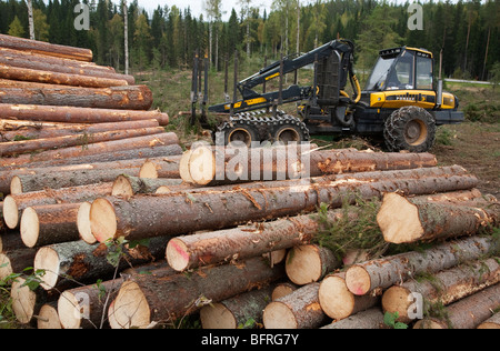 Pile von Kiefer ( pinus sylvestris ) und Fichte ( picea abies ) Protokolle aus Taiga Wald und finnischen Ponsse Elk Forwarder , Finnland Stockfoto