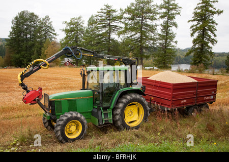 Traktor beladen mit Getreide, Finnland Stockfoto