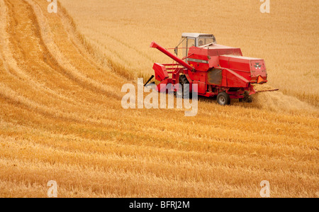 Mähdrescher bei der Arbeit, Finnland Stockfoto
