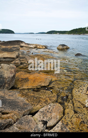 Granitfelsen an der Mündung des Kennebec River am Fort Popham in der Nähe von Phippsburg Maine ME USA Stockfoto