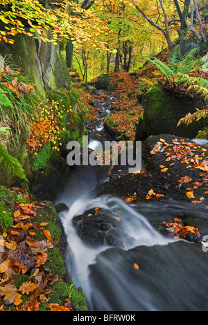 Wasserfall hinunter Hebden Wasser bei Hardcastle Klippen in der Nähe von Heptonstall, Calderdale, West Yorkshire, Großbritannien Stockfoto