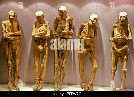 Guanajuato Museo de Las Momias mit mumifizierten Körper in Glas Vitrinen Stockfoto