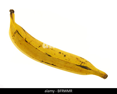 Reife Kochbananen Banane Stockfoto