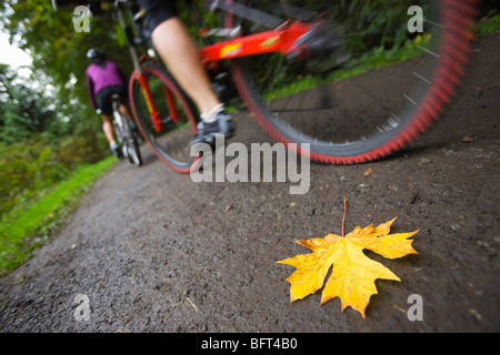 Blatt am Radweg mit Radfahrer Stockfoto