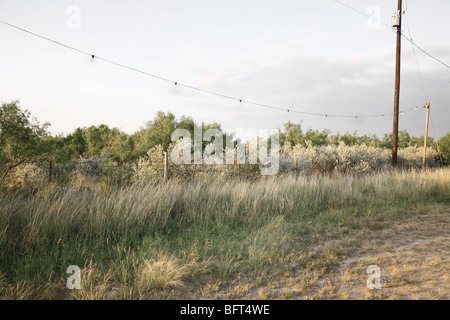 Del Rio, Val Verde County, Texas, USA Stockfoto