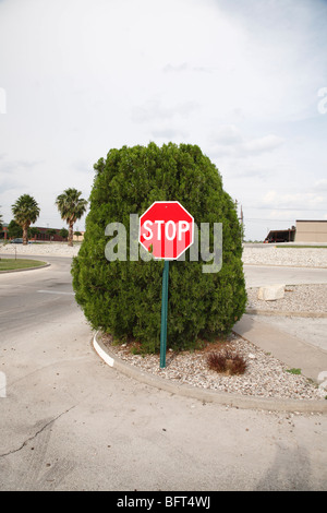 Stoppschild von Bush, Del Rio, Val Verde County, Texas, USA Stockfoto