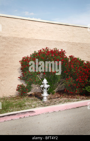 Silbernen Hydranten, Del Rio, Val Verde County, Texas, USA Stockfoto