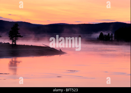 Vor Sonnenaufgang Himmel spiegelt sich in den Yellowstone River mit Morgennebel, Yellowstone-Nationalpark, Wyoming, USA Stockfoto