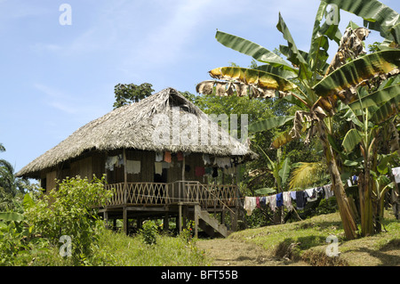 Haus im indischen Dorf Ngobe Bugle Salt Creek in der Nähe von Bocas Del Toro Panama Stockfoto