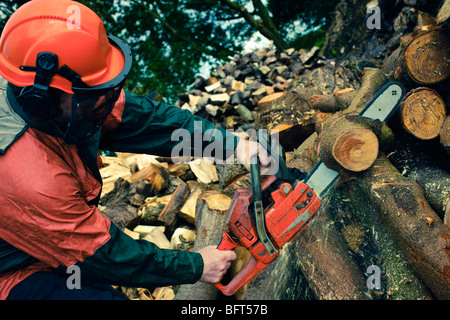 Mann schneiden Baum mit Kettensäge, Devon, England Stockfoto