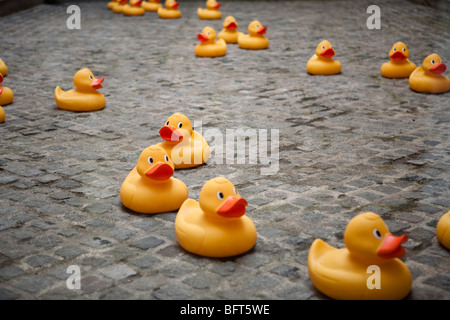 Gummienten auf Straße, Paris, Frankreich Stockfoto