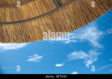 Blickte zu Sonnenschirm Stockfoto