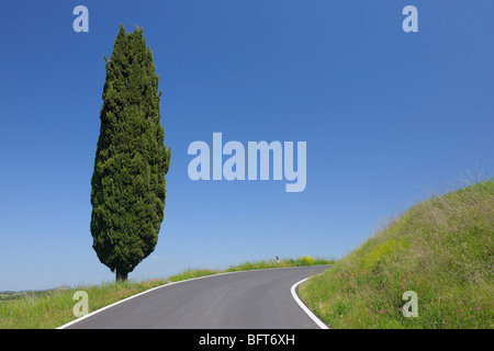 Monticchiello, Provinz Siena, Val d ' Orcia, Toskana, Italien Stockfoto