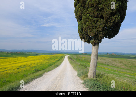 Ville di Corsano, Monteroni d ' Arbia, Provinz Siena, Toskana, Italien Stockfoto