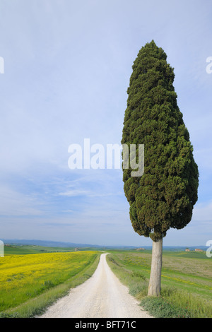 Ville di Corsano, Monteroni d ' Arbia, Provinz Siena, Toskana, Italien Stockfoto