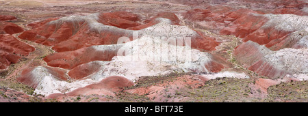 Painted Desert, versteinert Forest National Park, Arizona, USA Stockfoto