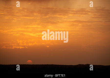 Sonnenuntergang, Thar-Wüste, Rajasthan, Indien Stockfoto