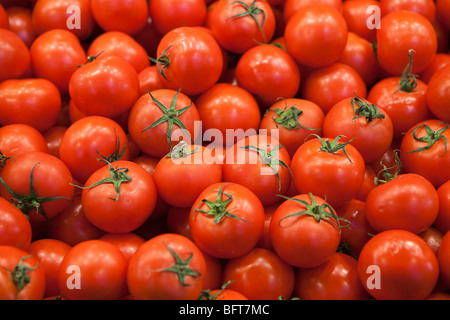 Tomaten im Markt unter freiem Himmel, Barcelona, Spanien Stockfoto