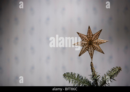 Sterne Ornament Stockfoto