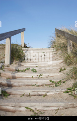 Sand bedeckt, Treppen, Bovbjerg, Jylland, Dänemark Stockfoto