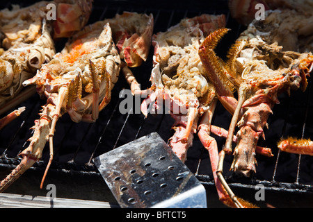 Kochen Hummer auf einem Grill,, St. Johns, Antigua und Barbuda Antillen Stockfoto