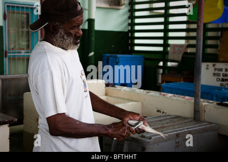 Schwarzer Mann vorbereiten frischer Fisch durch Entkalkung in der Fischmarkt in St. Johns, Antigua Stockfoto