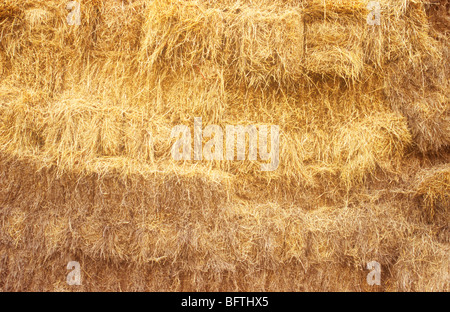 Detail der rechteckige Ballen goldenen Heu in einer Scheune gestapelt Stockfoto