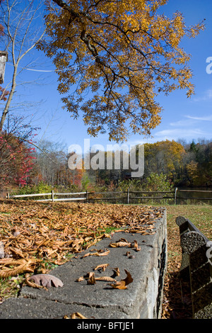 akn 1168R1 Herbst Laub auf Boden in der Nähe von See Stockfoto