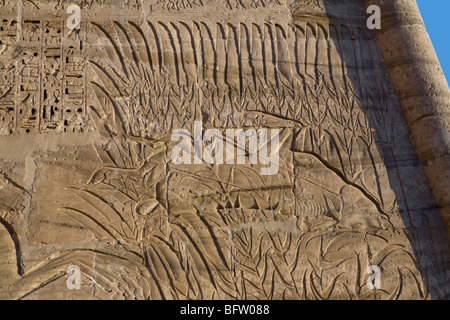 Reliefs zeigen Jagd in den Sümpfen in Medinet Habu, Leichenhalle Tempel von Ramses III, Westufer des Nil, Luxor, Ägypten Stockfoto