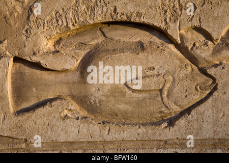 Nahaufnahme der Erleichterung der Fisch am ersten Pylon in Medinet Habu, Leichenhalle Tempel von Ramses III, Westufer des Nil, Luxor, Ägypten Stockfoto