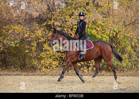 Porträt einer Frau auf einem Pferd in ländlicher Umgebung Stockfoto