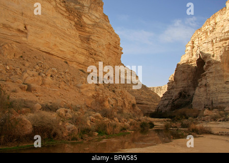 Israel, Negev. Ein Avdat Nationalpark in Wadi Zin Stockfoto