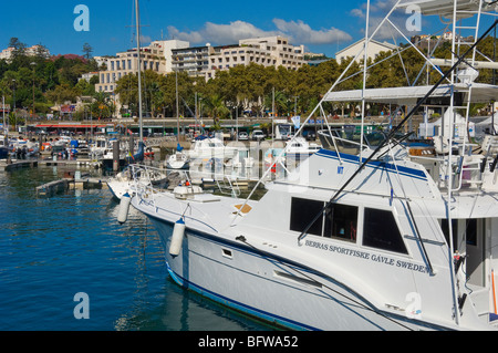 Boot-Boote für Wildfischerei, die im Hafen von Funchal Marina auf Madeira festgemacht sind Portugal EU Europa Stockfoto